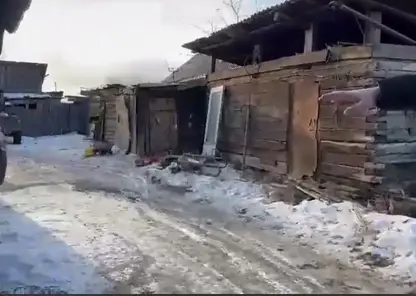 В Песчанке живодеры едят собак и кошек, волонтеры бьют тревогу (видео)