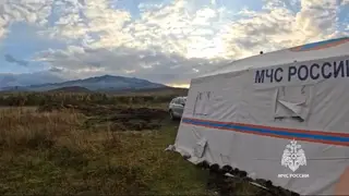 Дрон обнаружил двух медведей на месте поиска пропавшей семьи в Красноярском крае