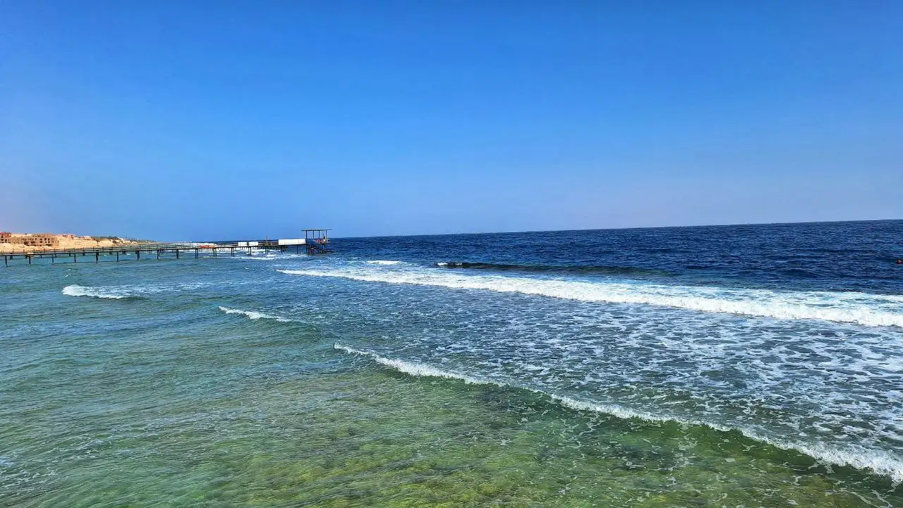 Фото: sibnovosti.ru