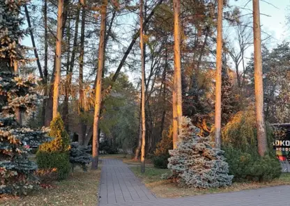 Космомольский парк имени Веры Волошиной в Кемерове ждет реновация