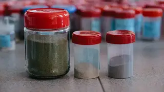 Красноярские ученые нашли способ переработки радиации с помощью золы