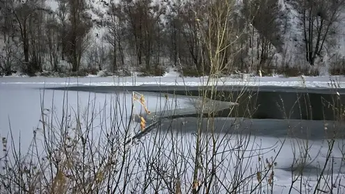 В Новосибирске 11-летний мальчик провалился под лед и утонул