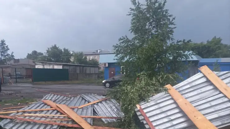 Шторм повредил дома, повалил деревья и отключил электроэнергию в 24 населённых пунктах Новосибирской области