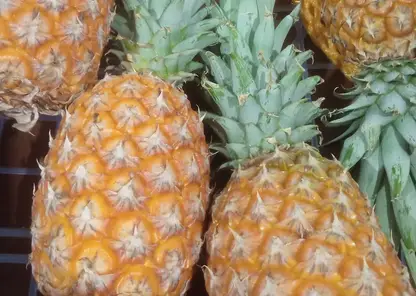 Россельхознадзор не допустил в Красноярск партию зараженных фруктов и овощей из Китая