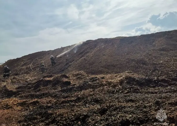 Древесная свалка в Лесосибирске всю ночь была охвачена огнем (видео)