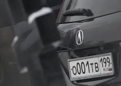 Госдума рассмотрит возможность продажи "красивых" автомобильных номеров в феврале 2026-го