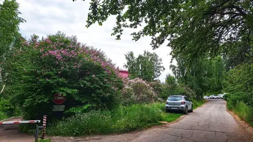 Кузбасские реалии поиска детей: мифы, ошибки и факторы, влияющие на успех