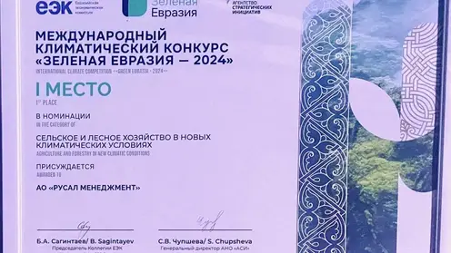 На Международном климатическом конкурсе победил проект РУСАЛа по авиационной охране лесов от пожаров