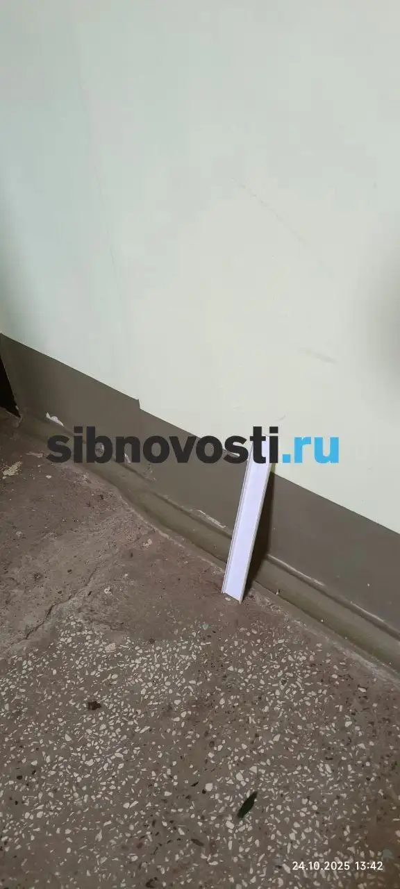 Фото: sibnovosti.ru