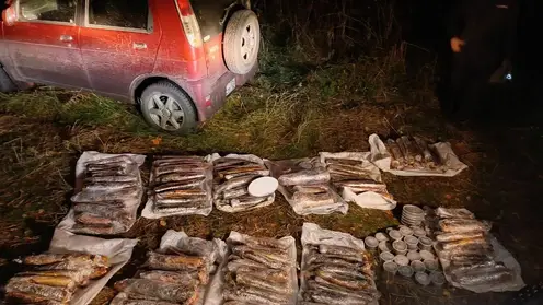 Пожарный незаконно выловил 217 краснокнижных рыб в Красноярском крае