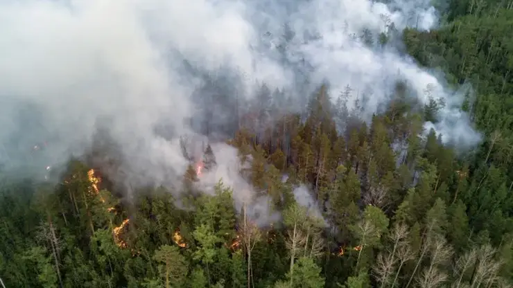 Самый высокий класс пожарной опасности установлен в ряде районов Бурятии