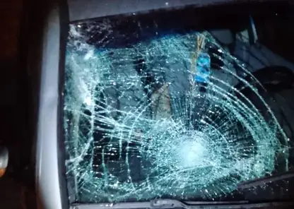 Водитель без прав насмерть сбил женщину в Томской области