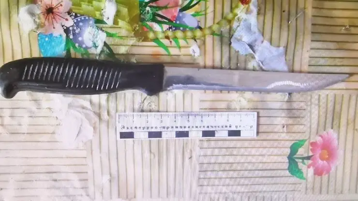 В Лесосибирске женщина зарезала знакомого после отказа уйти из ее дома