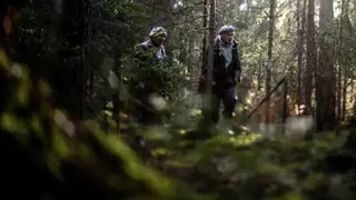 Полиция Кузбасса вторые сутки ищет шестерых пропавших грибников