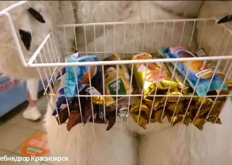 Эксперты рассказали красноярцам, как выбрать качественное и вкусное мороженое