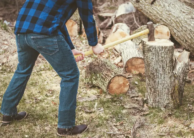 Суд взыскал более 34 млн рублей с контрабандиста леса в Иркутской области