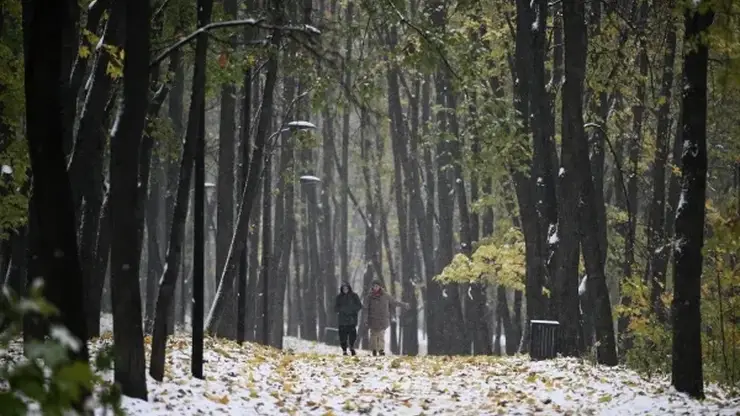 Первый снег заметили в красноярской «Гремячей гриве»