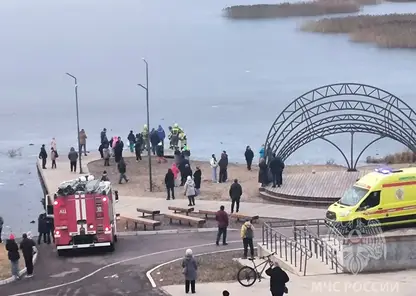 Мужчина провалился под лед в Железногорске