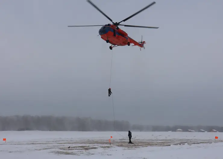 Красноярский край добился снижения количества лесных пожаров по вине человека