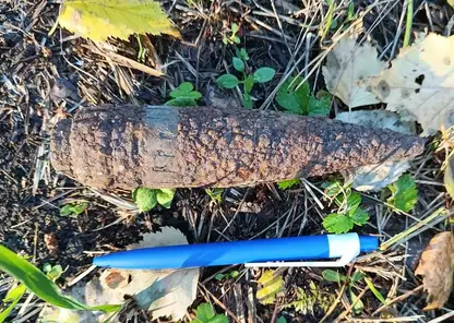 Два артиллерийских снаряда нашли и уничтожили в Красноярском крае