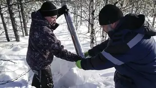 Микропластик нашли во всех пробах снега в Западной Сибири Микропластик нашли во всех пробах снега в Западной Сибири