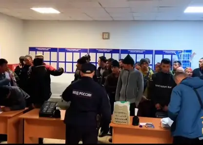 В Красноярском крае в тепличных комплексах нашли 49 мигрантов, четверо оказались нелегалами