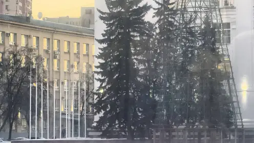Каркас главной городской ёлки возвели в центре Кемерова
