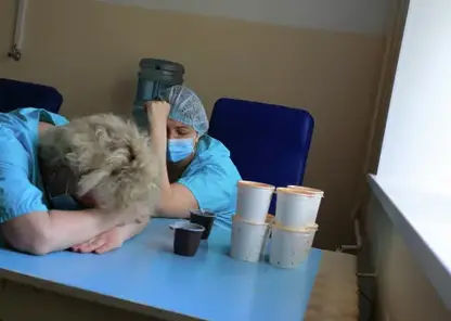 Россиянам рассказали, как заранее распознать эмоциональное и физическое истощение