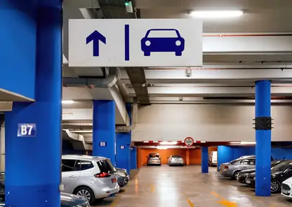 Забайкальцев начнут штрафовать за парковку рядом с мусорными баками