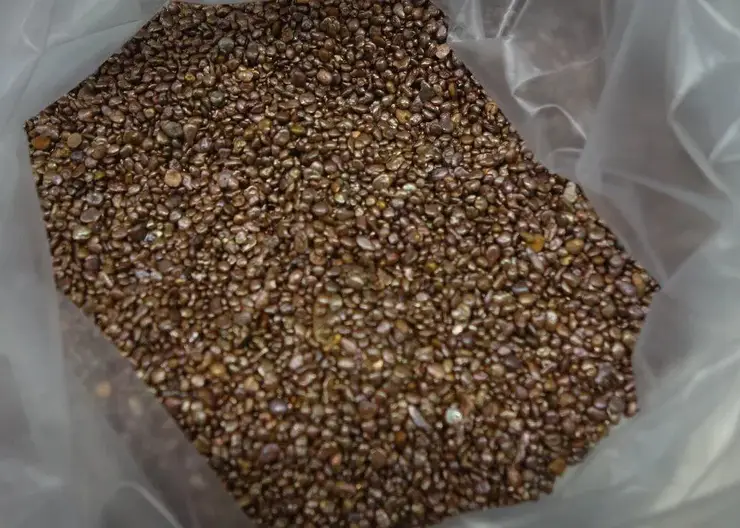 Красноярец продал три килограмма незаконного золота на 12 миллионов рублей