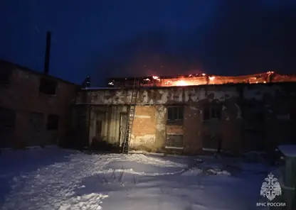 В Красноярском крае за сутки потушили 14 пожаров