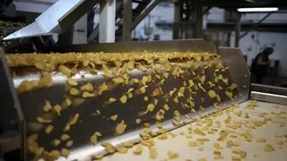 Новосибирские ученые создали полезные для здоровья чипсы Новосибирские ученые создали полезные для здоровья чипсы