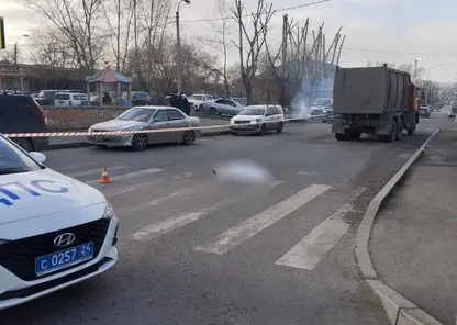 Мусоровоз сбил женщину и 10-летнего мальчика на пешеходном переходе в Красноярске: ребенок погиб