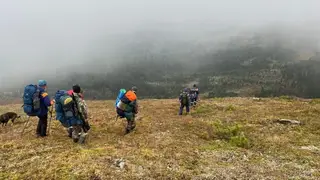 Семья пропавшего в Ергаках жителя Чечни объявила вознаграждение за информацию о нем