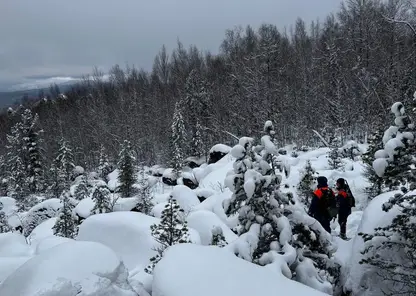 Активная фаза поисков семьи Усольцевых в Красноярском крае завершена