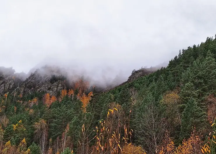 Охотник пропал на севере Красноярского края