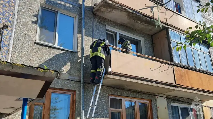 Минусинские спасатели за 12 минут вызволили застрявшего на балконе кота
