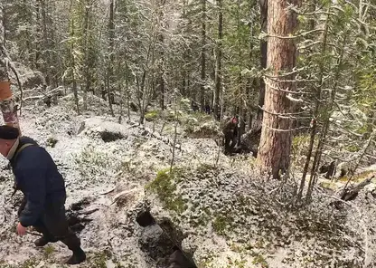 Хронология исчезновения семьи Усольцевых в Красноярском крае: от 28 сентября до 3 октября 2025 года