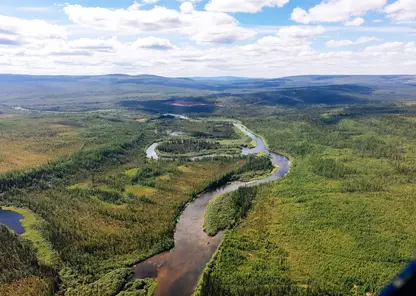 Красноярские ученые подвели промежуточные итоги по исследованию хвойных лесов в Эвенкии