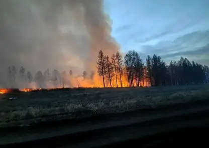 Режим ЧС ввели в Туве из-за лесных пожаров