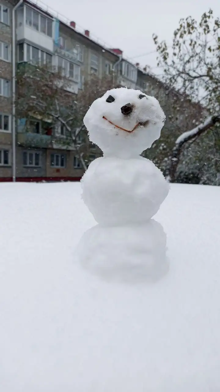 Фото: vk.com/fobosplanet