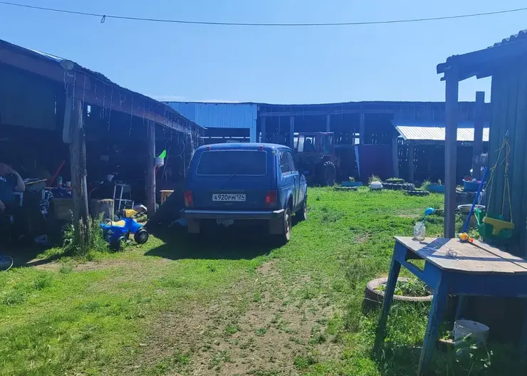 Шестилетний мальчик погиб от удара током во дворе частного дома в Красноярском крае