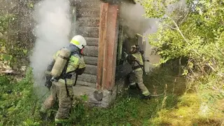 За сутки в Красноярском крае ликвидировали 12 пожаров
