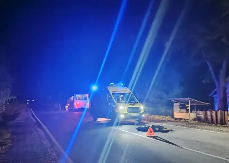 В Приморье водитель скрылся после наезда на пешехода, которого затем переехал автобус