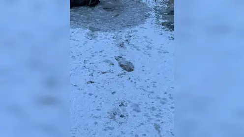 Четырехлетний мальчик утонул в реке в Хакасии