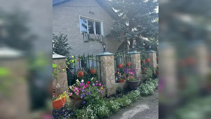 Красноярцам показали, что пенсионерка сделала со своим палисадником