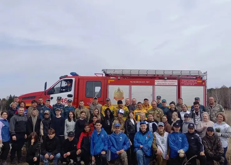 «Сад памяти» на четыре тысячи деревьев высадили в Иланском районе Красноярского края