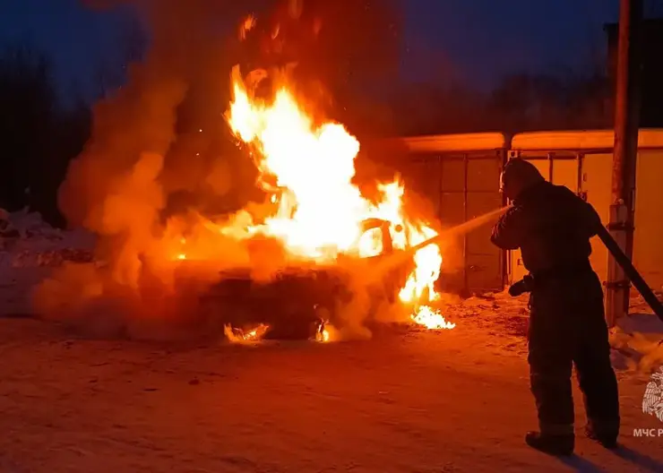 В Красноярском крае за последние сутки потушили 15 пожаров