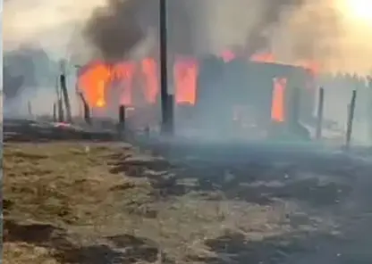 Пожар за пожаром. В Ирбейском районе огонь уничтожил деревню