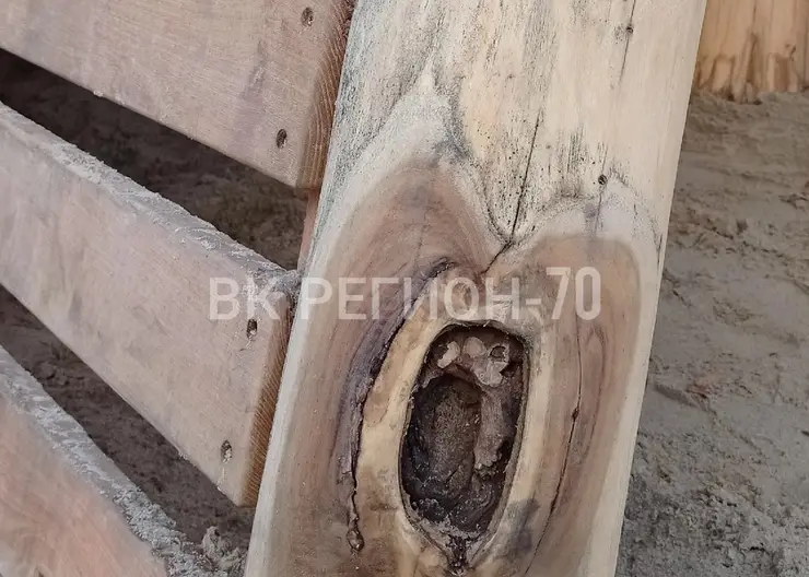 Жители Томска на благоустроенной детской площадке обнаружили грибок